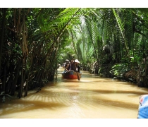 Mekong Delta Day Tours Vietnam (My Tho - Ben Tre)